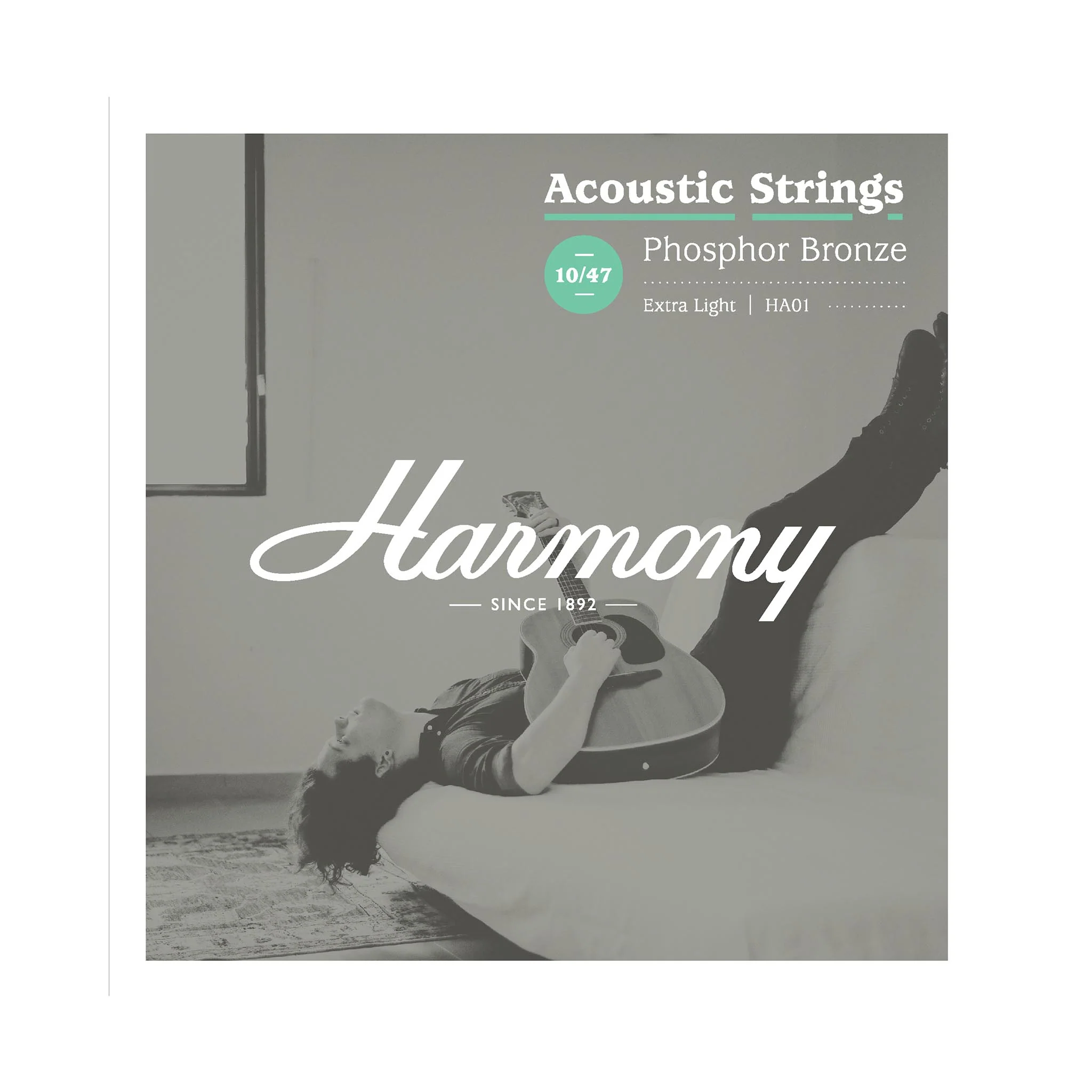 Harmony Foundation Series Terra ST Petite OM Acoustic Guitar Bundle, Natural Satin (UK Exclusive) - Image 5