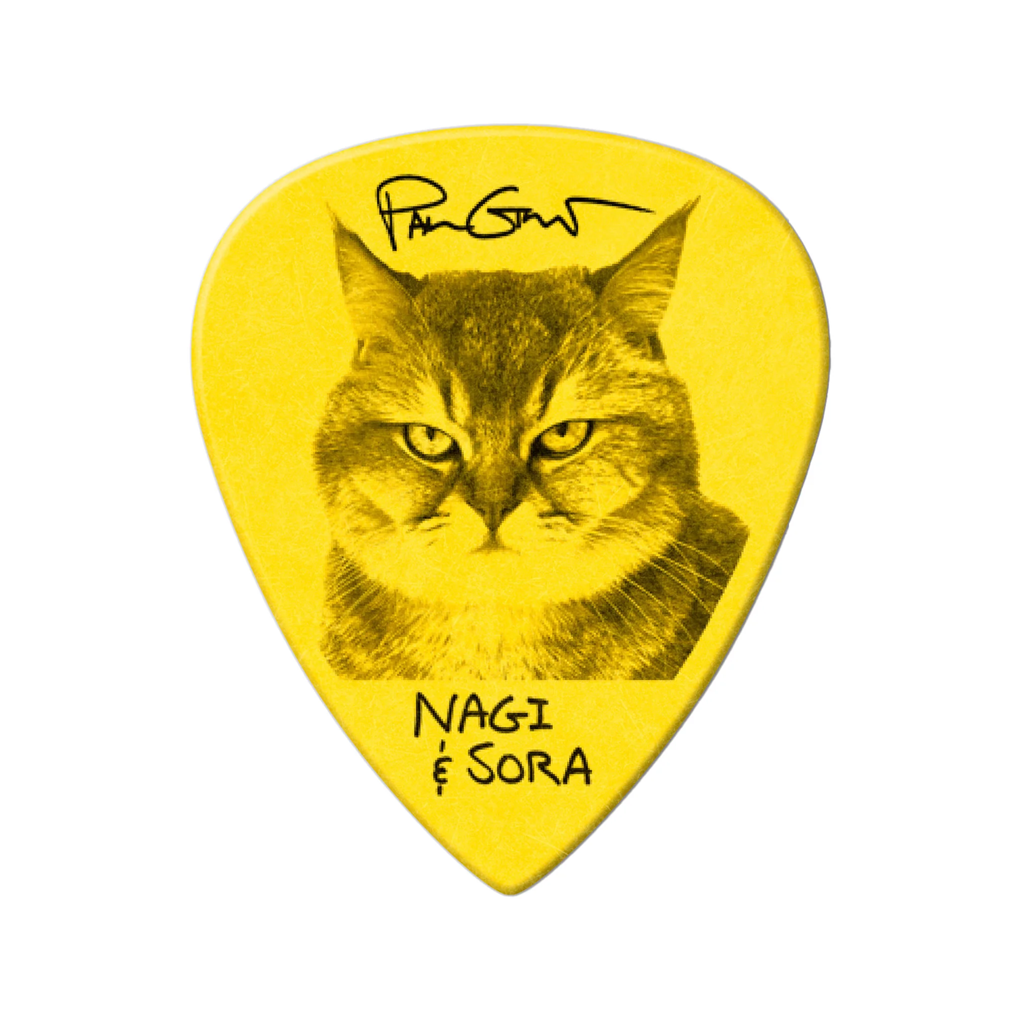 Jim Dunlop PG462P Paul Gilbert Custom Tortex III Guitar Picks, 0.73mm, 12-Pack - Image 10